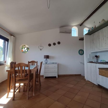 Chia Aloe & Cactus Villa Dış mekan fotoğraf