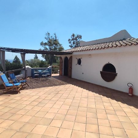 Chia Aloe & Cactus Villa Dış mekan fotoğraf