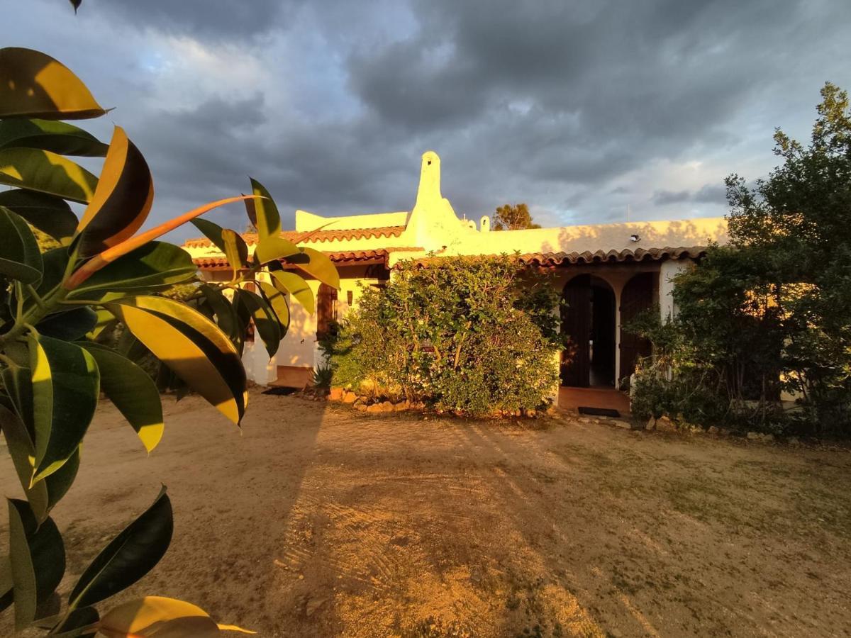 Chia Aloe & Cactus Villa Dış mekan fotoğraf