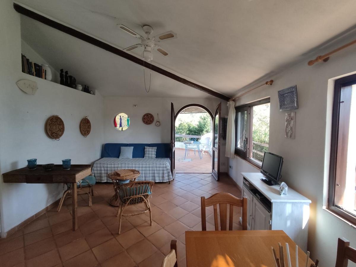 Chia Aloe & Cactus Villa Dış mekan fotoğraf