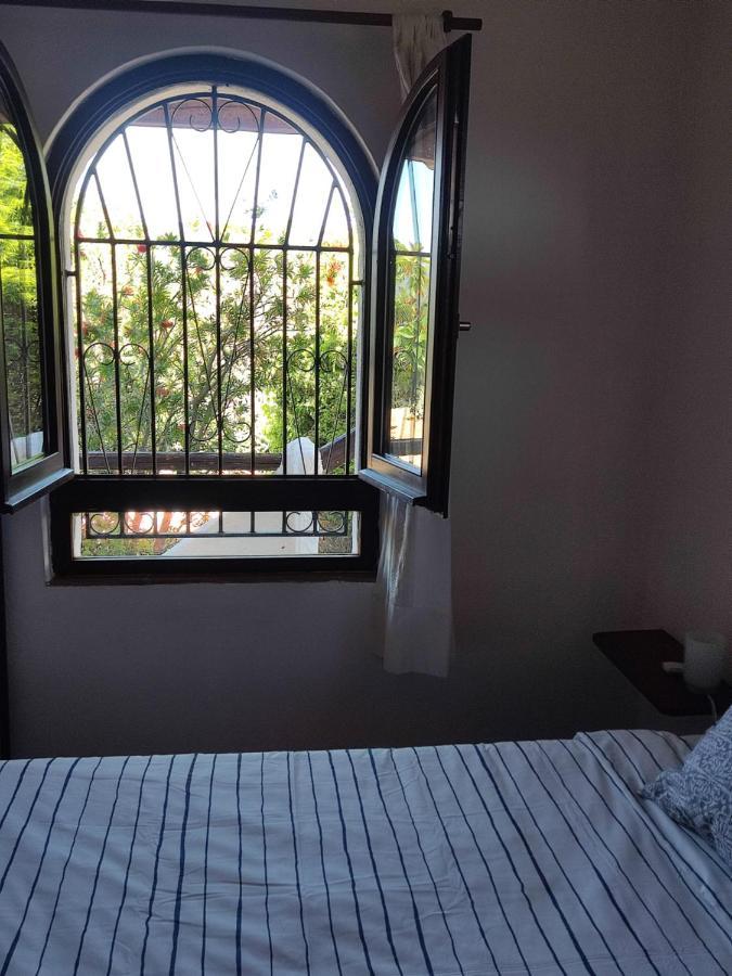 Chia Aloe & Cactus Villa Dış mekan fotoğraf