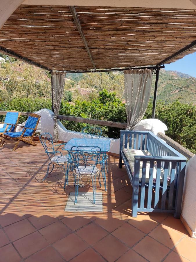 Chia Aloe & Cactus Villa Dış mekan fotoğraf