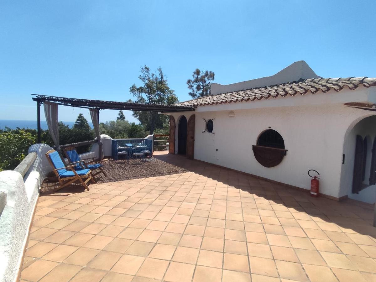 Chia Aloe & Cactus Villa Dış mekan fotoğraf