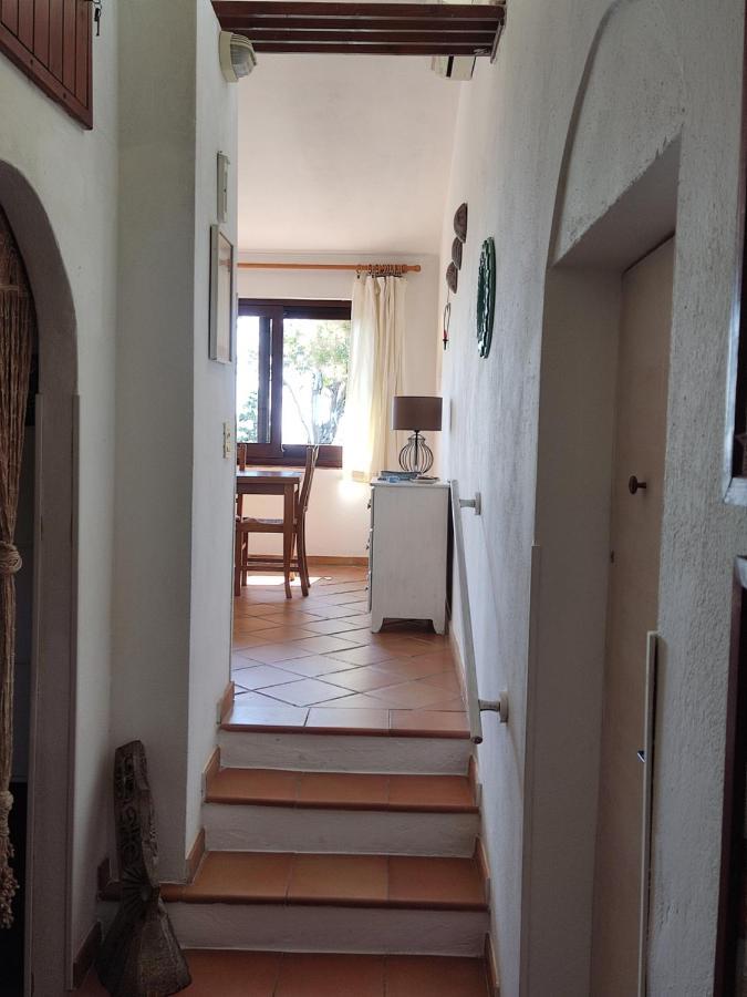Chia Aloe & Cactus Villa Dış mekan fotoğraf