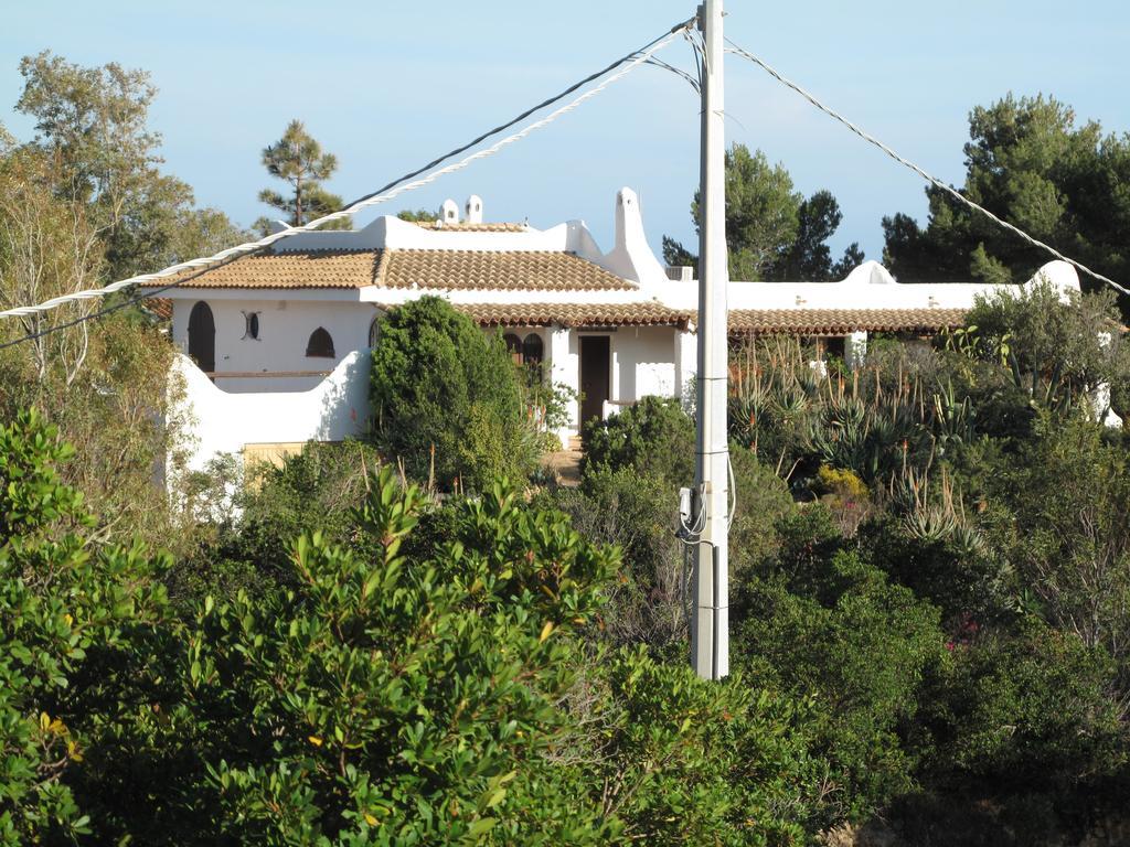 Chia Aloe & Cactus Villa Dış mekan fotoğraf