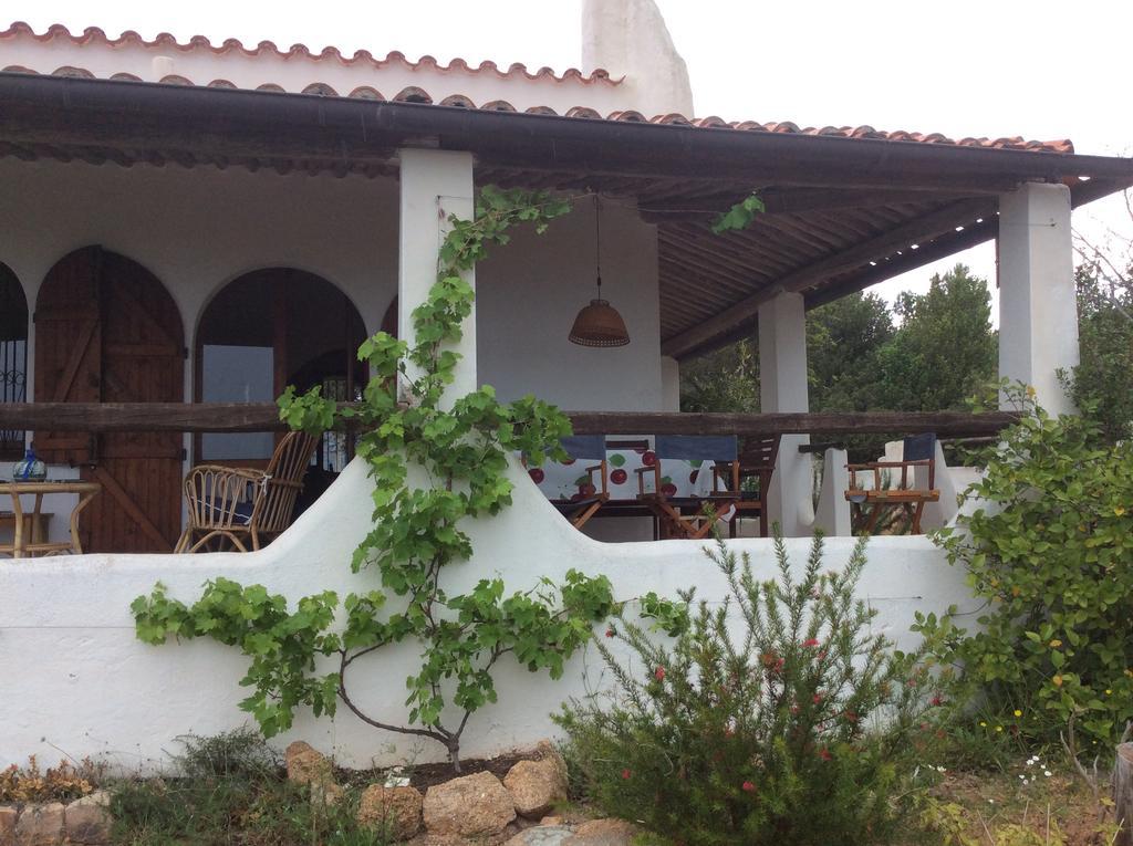 Chia Aloe & Cactus Villa Dış mekan fotoğraf