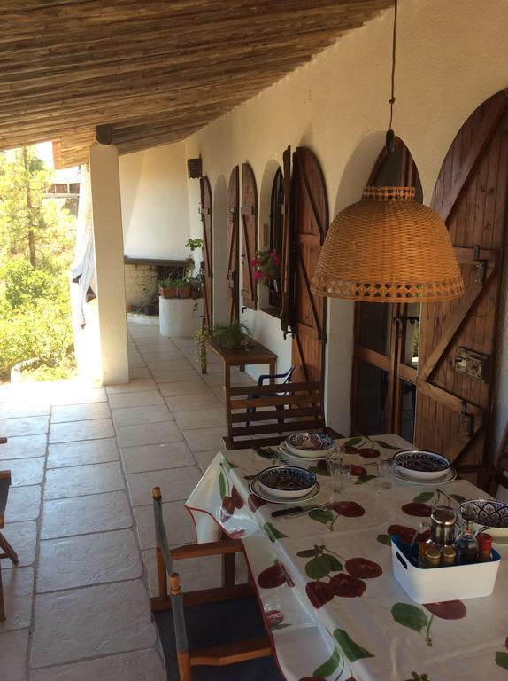 Chia Aloe & Cactus Villa Dış mekan fotoğraf