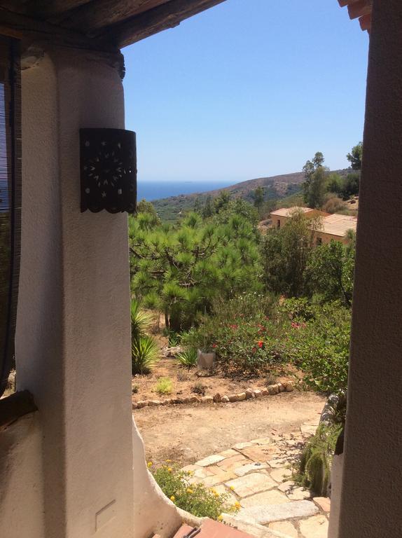 Chia Aloe & Cactus Villa Dış mekan fotoğraf