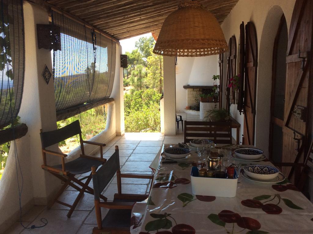 Chia Aloe & Cactus Villa Dış mekan fotoğraf