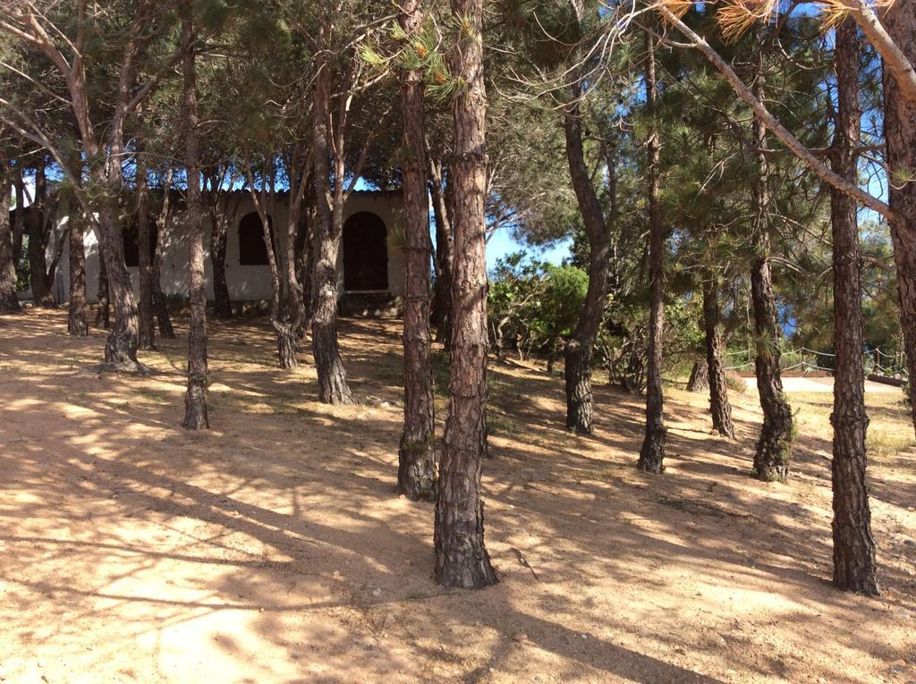 Chia Aloe & Cactus Villa Dış mekan fotoğraf