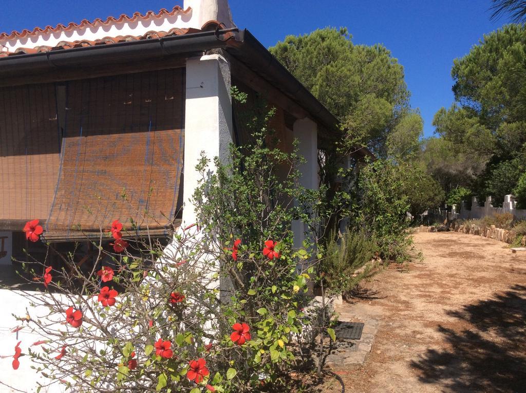 Chia Aloe & Cactus Villa Dış mekan fotoğraf